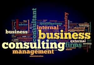 Business Consultants 16